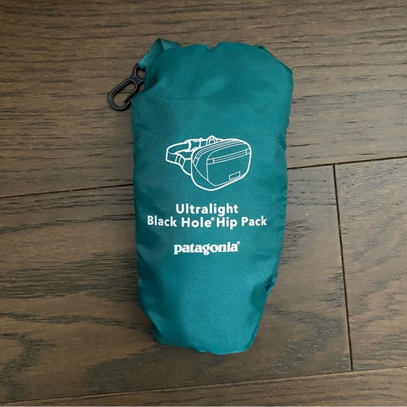 Patagonia Ultralight Black Hole Mini Hip Pack, Borealis Green - Picture 4 of 4